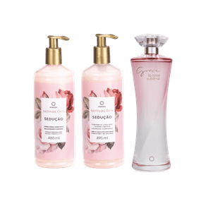 Novo-Projeto---2025-11-13T163214.419